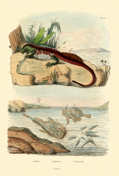Basilisco, 1833-39 de French School